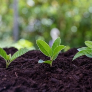 Nouvelle-Aquitaine : un pôle d’excellence pour l’agroécologie