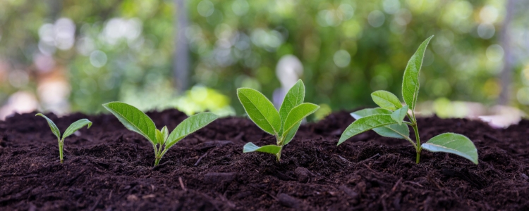 Nouvelle-Aquitaine : un pôle d’excellence pour l’agroécologie