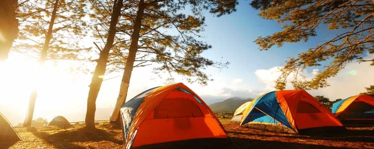 La montée en gamme des enseignes de campings profite aux territoires