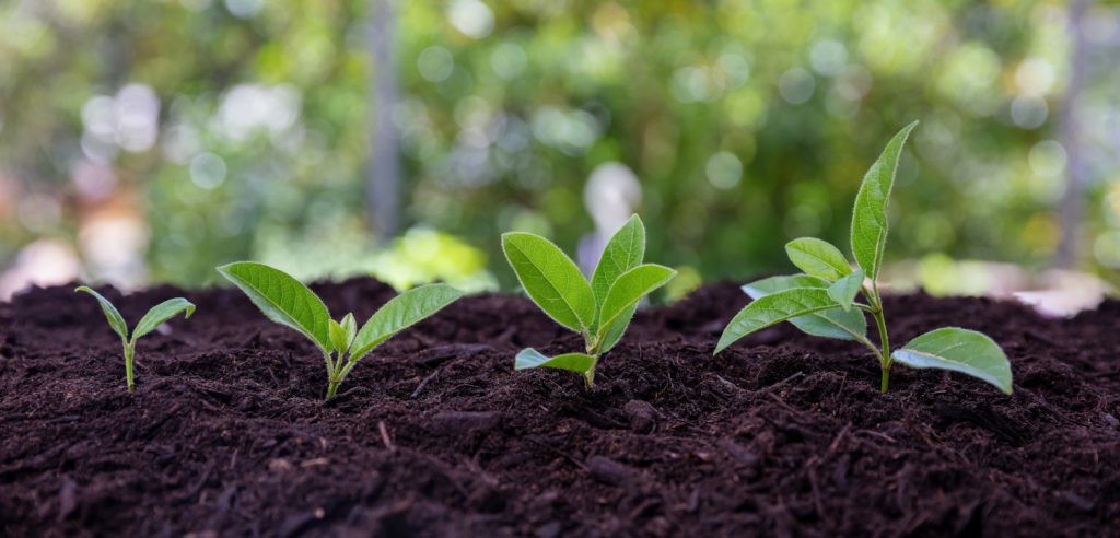 Nouvelle-Aquitaine : un pôle d’excellence pour l’agroécologie