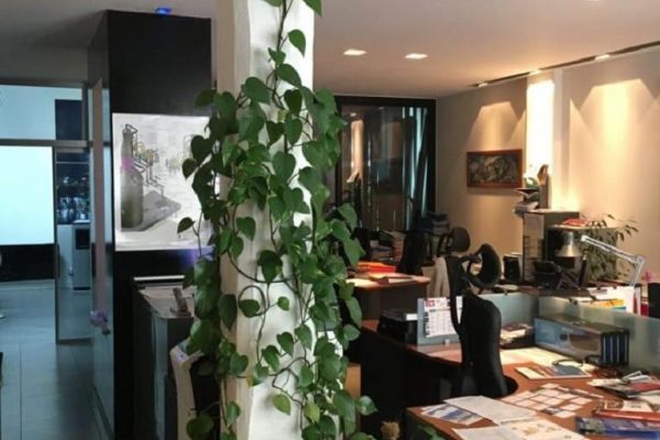 À louer – Bureaux de 101 m² dans le centre-ville du Havre – Seine-Maritime (76)
