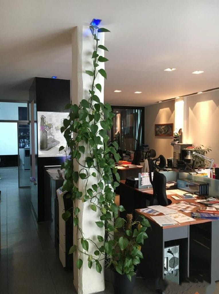 À louer – Bureaux de 101 m² dans le centre-ville du Havre – Seine-Maritime (76)