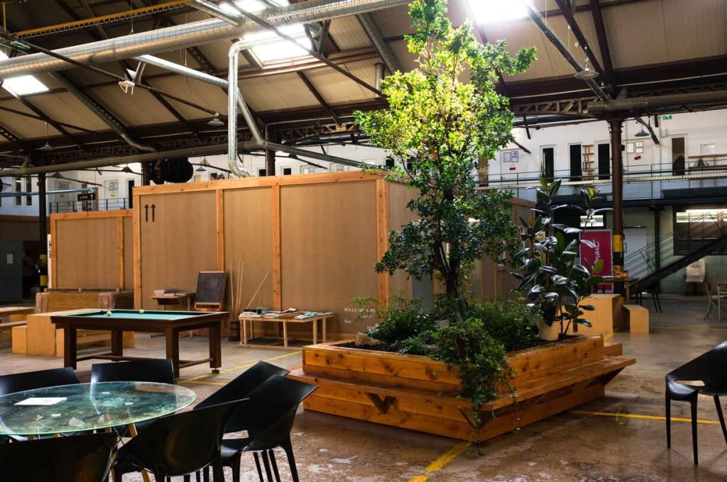 À louer – Bureaux de 13 à 60 m² dans la Halle Tropisme de Montpellier – Hérault (34)
