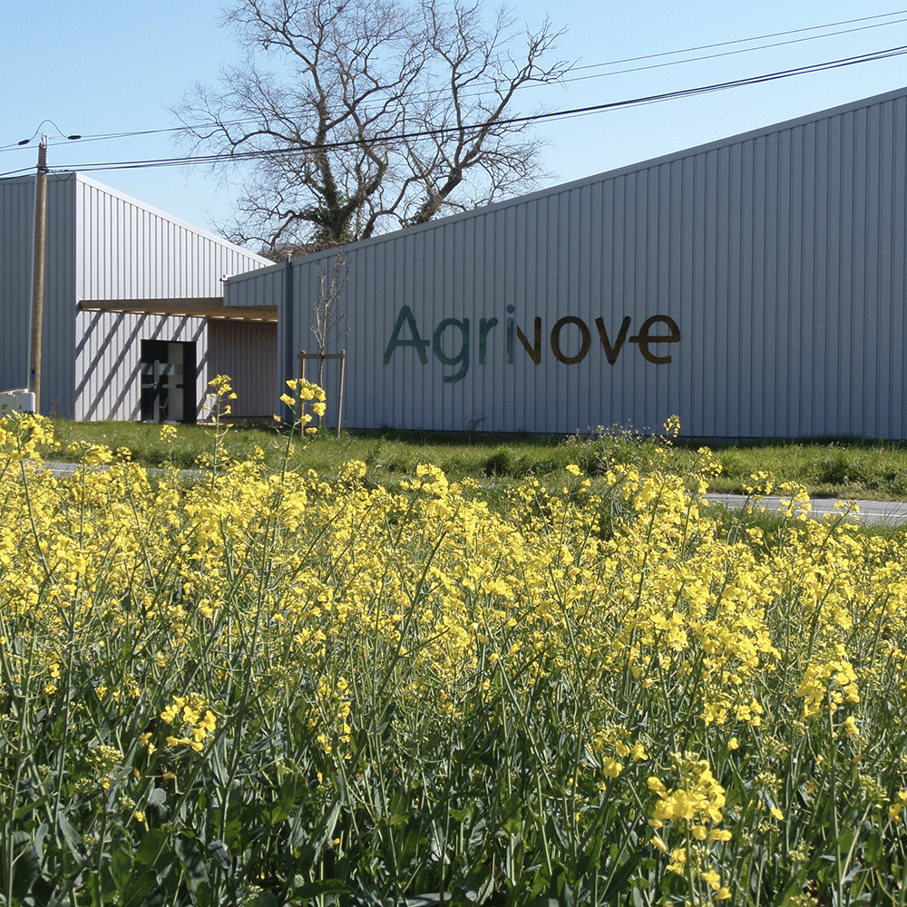 À louer – Bureaux de 14 m² et Ateliers de 50 à 75 m² en Pépinière d’entreprises à Nérac – Lot-et-Garonne (47)