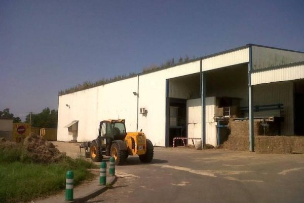 À louer – Local d’activités de 10 072 m² à Cazères – Haute-Garonne (31)