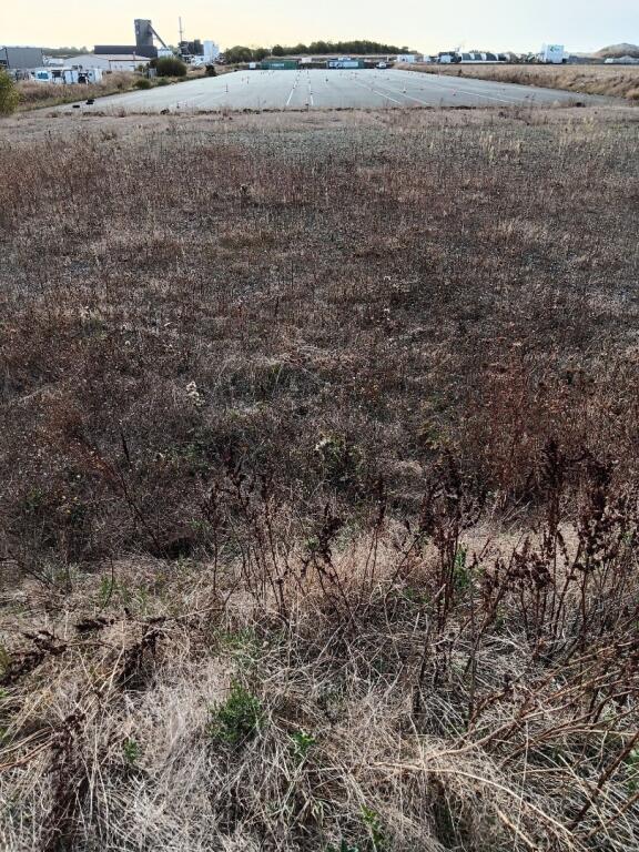 À louer –Terrain Industriel de 1,8 hectares à Saint-Sauveur-d&rsquo;Aunis – Charente-Maritime (17)