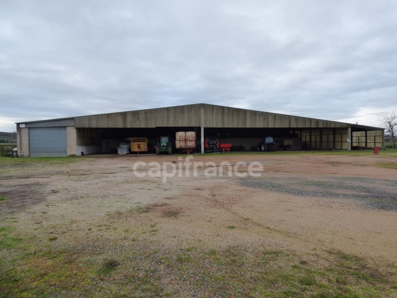 À vendre – entrepôt non divisible de 900 m² à Marcigny, proche de Mâcon (71)