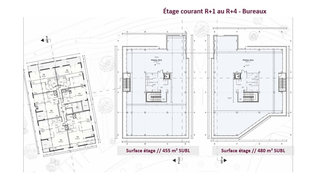 À vendre ou à louer – Bureaux à partir de 123 m² à Dax – Landes (40)