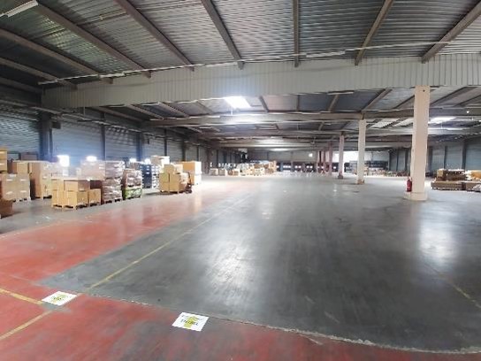 À vendre – Site industriel de 15 000 m² proche de l’Allemagne à Creutzwald – Moselle (57)