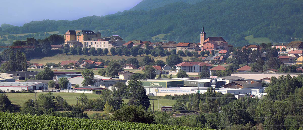 À vendre –  terrain de 6 hectares à Porte-de-Savoie à proximité de Chambéry (73)
