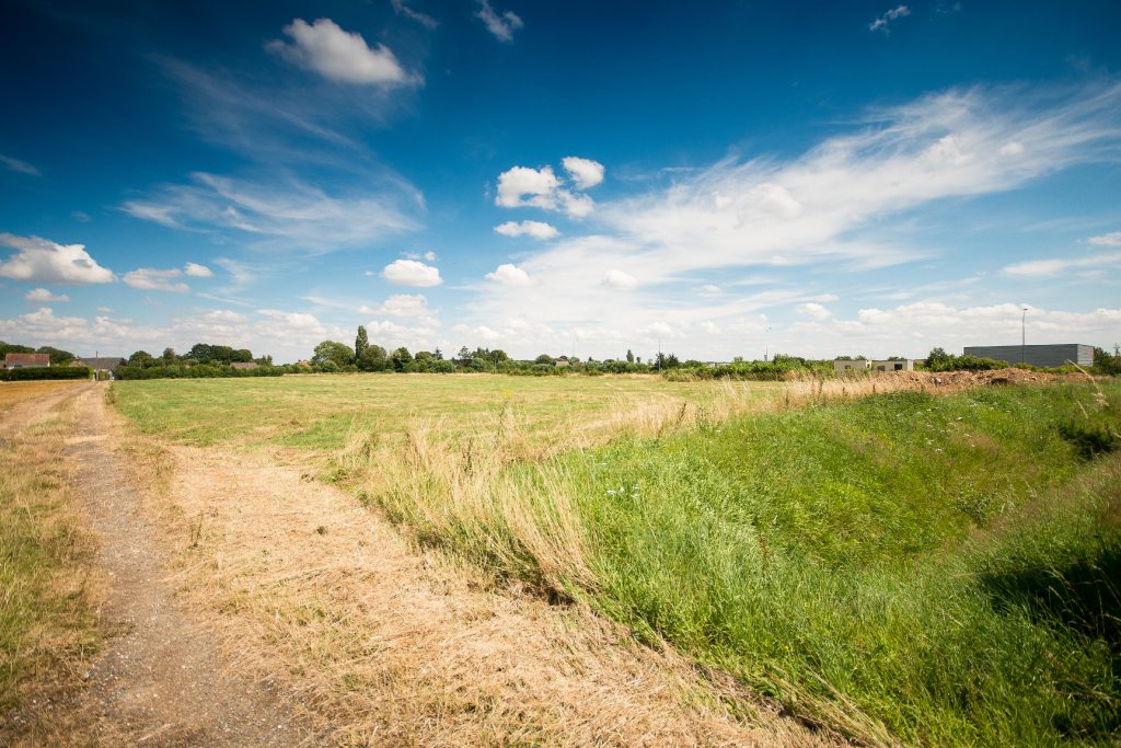 À vendre – Terrain industriel de 10 000 m² à Champrond-en-Gâtine – Eure-et-Loir (28)