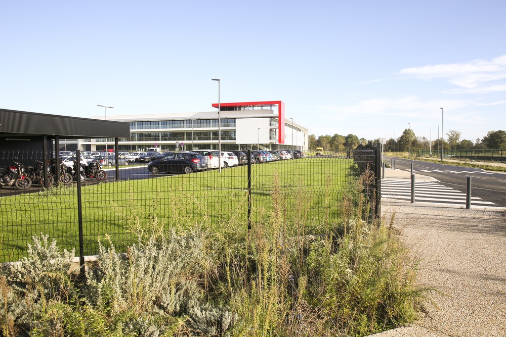 À vendre – Terrains de 2 000 m² à 34 000 m² à Saint-André-de-Cubzac – Gironde (33)