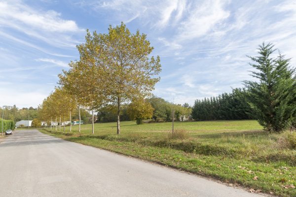À vendre – terrains divisibles de 7 000 m² à Drevant, proche de Bourges (18)