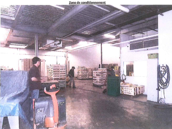 Bâtiment agroalimentaire de 4 000 m² à vendre près de Marmande