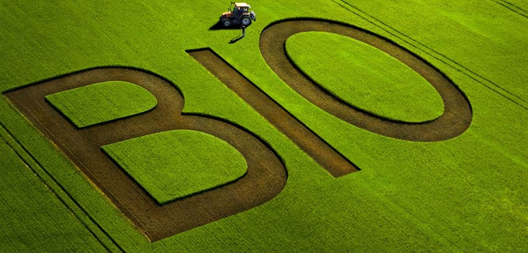 Le Bio : nouvel enjeu de croissance pour les entreprises agroalimentaires et cosmétiques en France