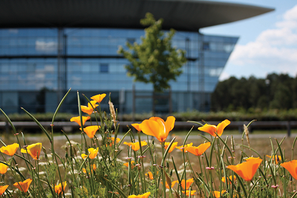 Bureaux modulables et équipés à louer sur le Technopôle Bordeaux Montesquieu – Martillac