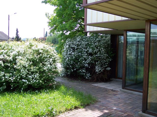 Local d&rsquo;activités à louer/vendre – Meaux – Seine-et-Marne (77) – Île-de-France
