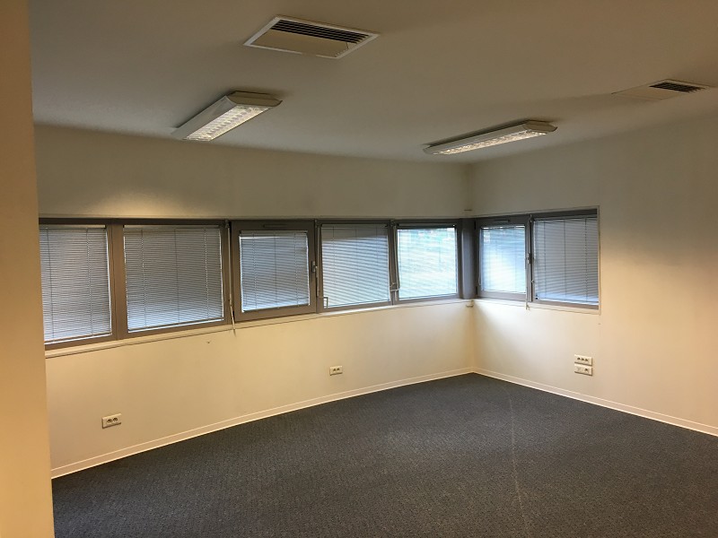 Location local d’activités Albi – 1000 m² – Proximité Ouest