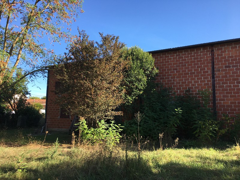 Locaux d&rsquo;activité en location à Albi – 500 m² – Occitanie (Tarn)