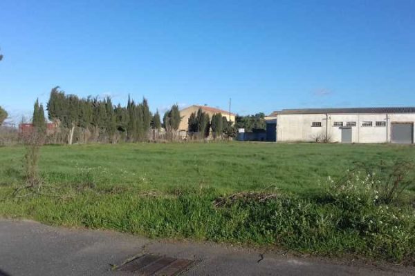 Terrain en vente à Sauvian (34) – 4 200 m²