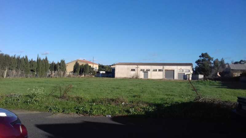 Terrain en vente à Sauvian (34) – 4 200 m²