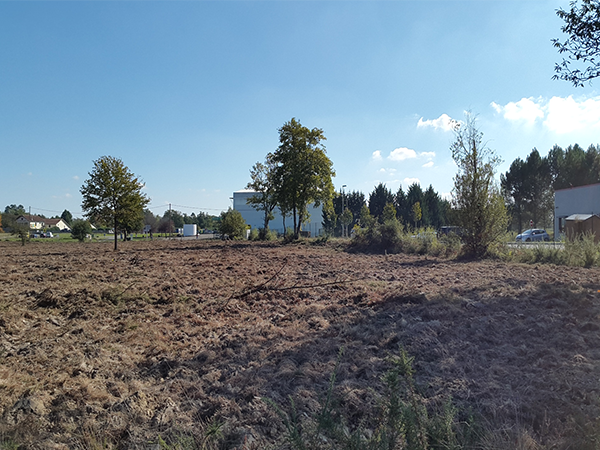 Terrain industriel de 35 000 m² à vendre à Carcares-Saintes-Croix / Mont-de-Marsan (40)