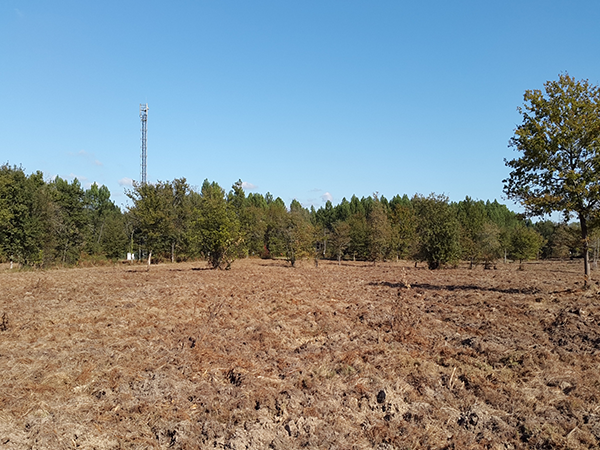 Terrain industriel de 35 000 m² à vendre à Carcares-Saintes-Croix / Mont-de-Marsan (40)