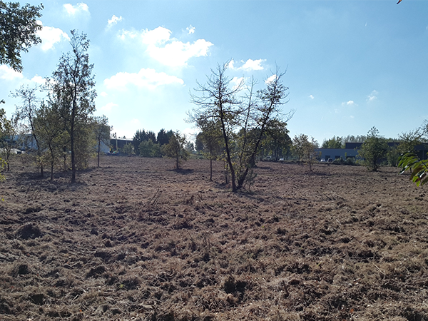 Terrain industriel de 35 000 m² à vendre à Carcares-Saintes-Croix / Mont-de-Marsan (40)