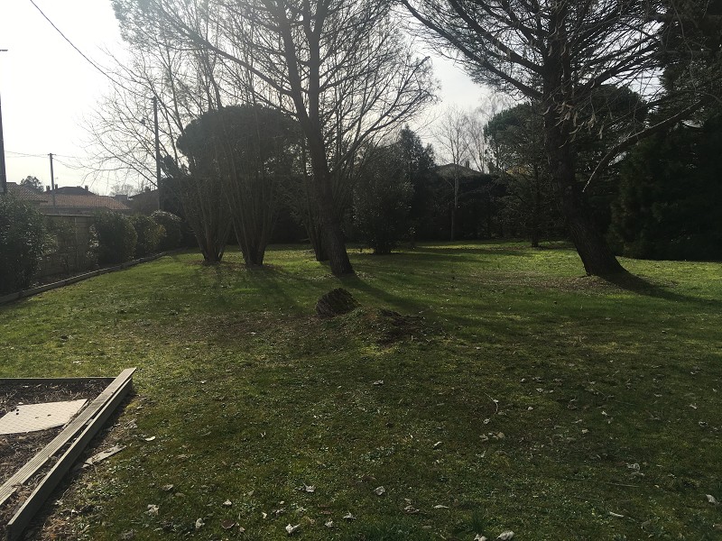 Vente terrain industriel Albi – 400 m² – Proximité  Gaillac