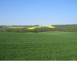 Zone d&rsquo;activités des Hauts-de-France – ZAC du Bosquel